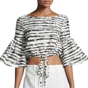 Milly Lydia Floral Striped Burnout Crop Top, Large